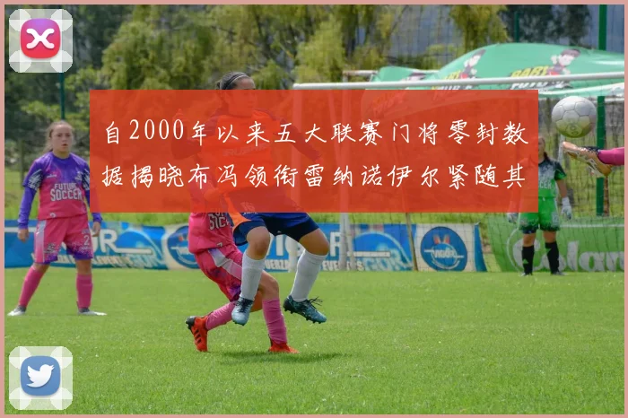 自2000年以来五大联赛门将零封数据揭晓布冯领衔雷纳诺伊尔紧随其后