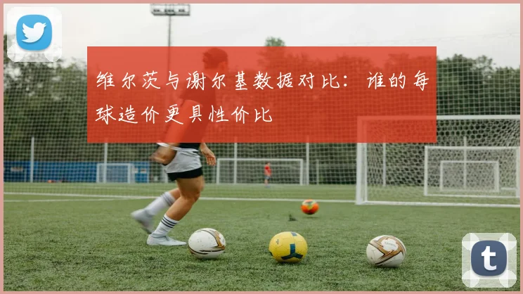 维尔茨与谢尔基数据对比：谁的每球造价更具性价比