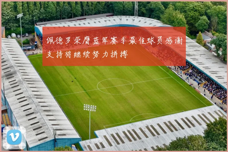 佩德罗荣膺蓝军赛季最佳球员感谢支持将继续努力拼搏